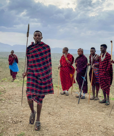 Tanzania Safari Quote Request