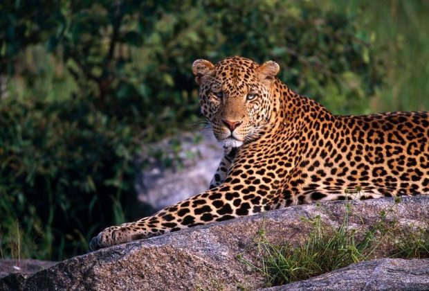 10 days Tanzania budget safari 10 days Tanzania budget safari